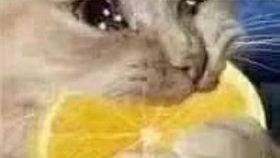 火影许愿夺宝最新爆料,神秘宝藏揭晓，最新爆料揭秘夺宝之路！  第1张